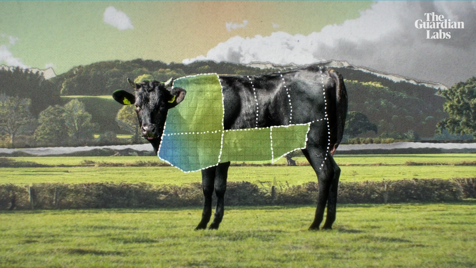 McDonalds McMyths Busted